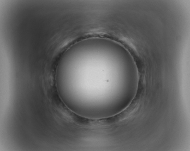 X0000114191159200910091226