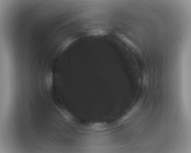 X0000114191161200910091226