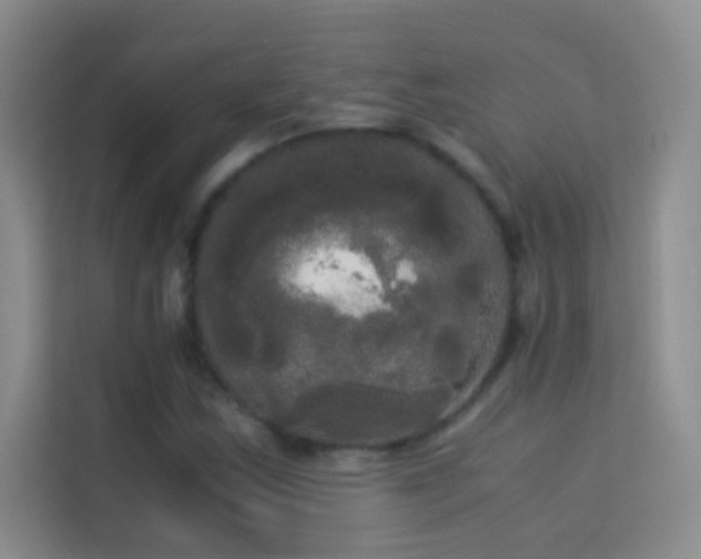 X0000114191163200910091226