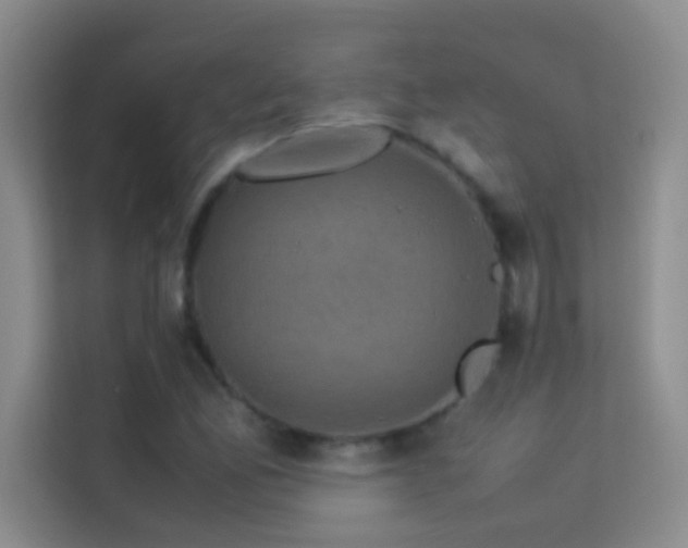 X0000114191165200910091226