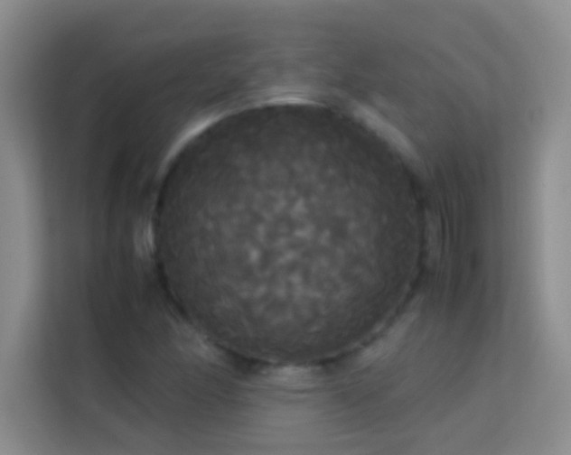 X0000114191166200910091226