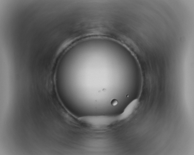 X0000114191168200910091226