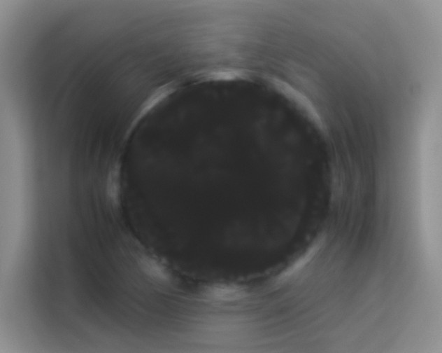 X0000114191170200910091226