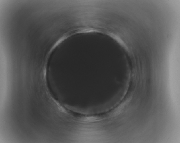 X0000114191173200910091226