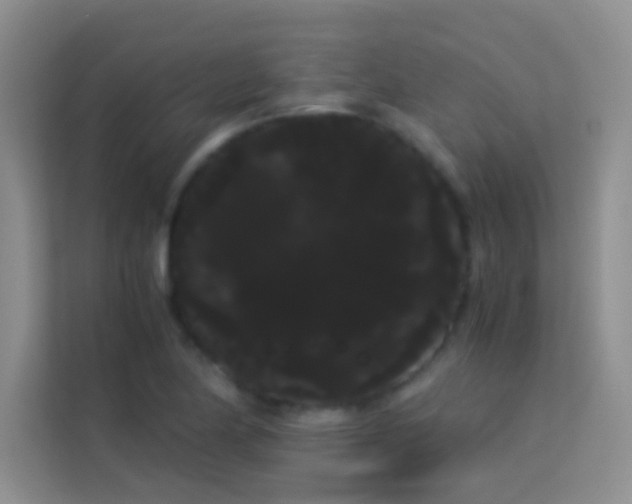 X0000114191174200910091226