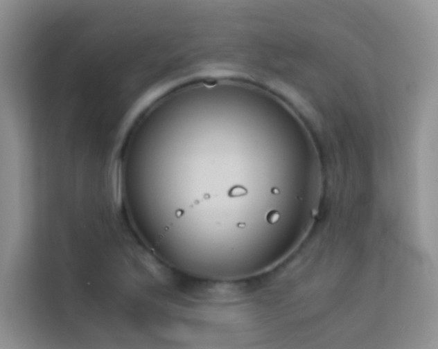 X0000114191175200910091226