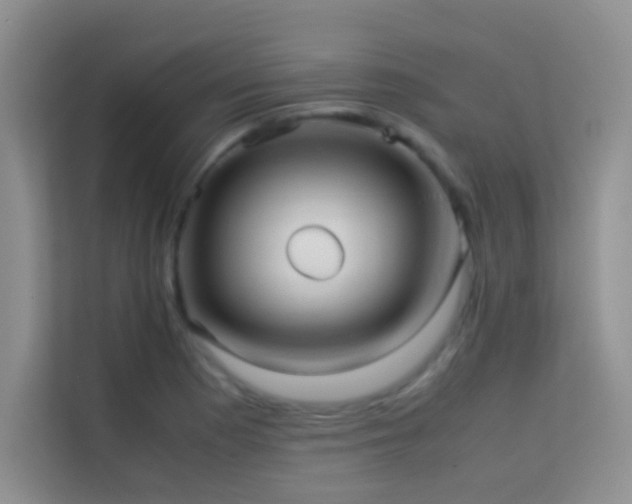 X0000114191177200910091226