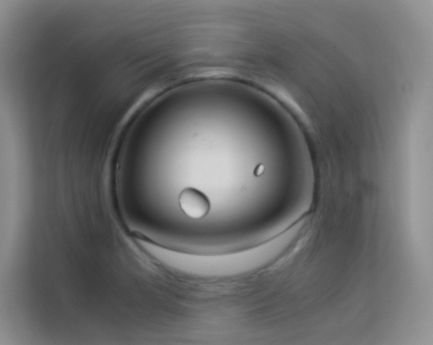 X0000114191181200910091226