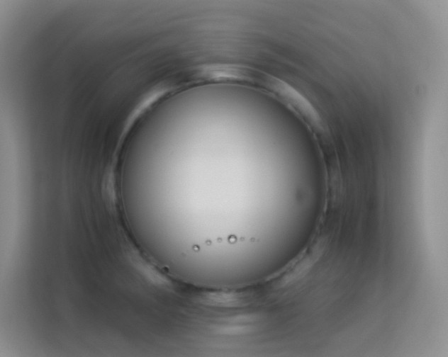 X0000114191182200910091226