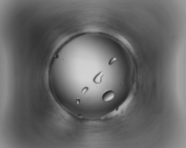 X0000114191183200910091226