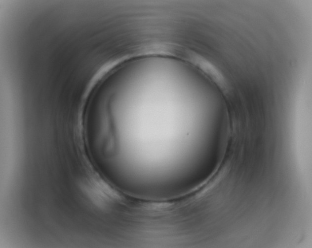 X0000114191184200910091226