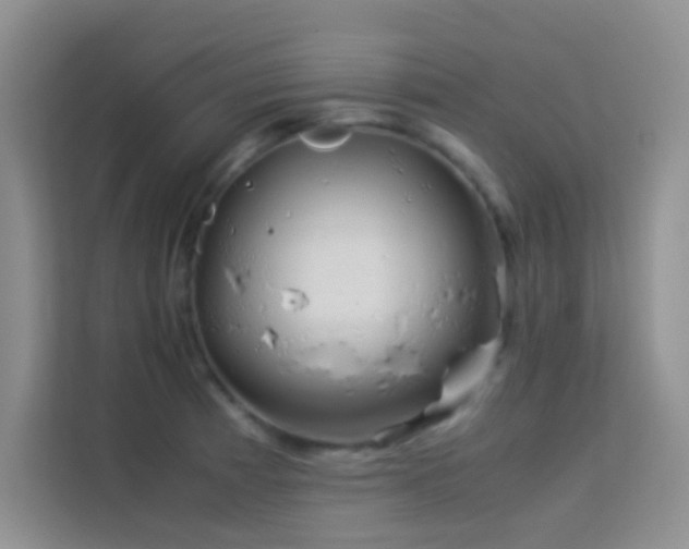 X0000114191185200910091226