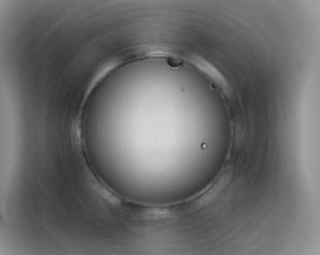 X0000114191190200910091226