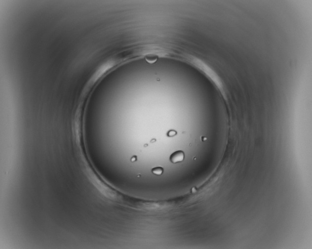 X0000114191195200910091226