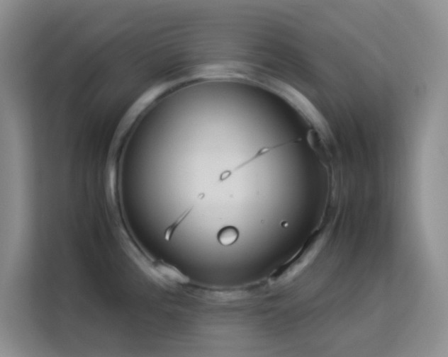 X0000114191196200910091226
