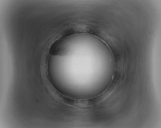 X0000114191201200910091225