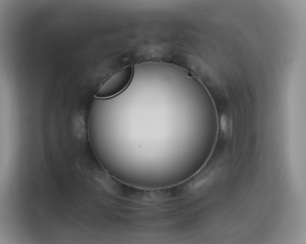 X0000114191203200910091225
