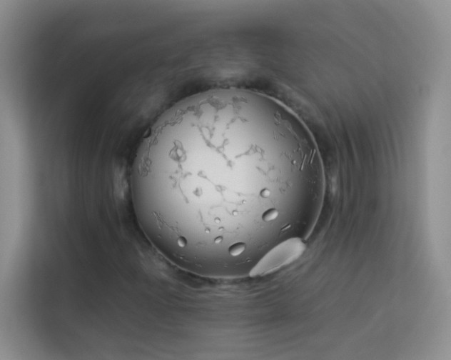 X0000114191204200910091225