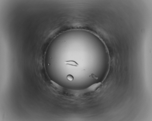 X0000114191205200910091225