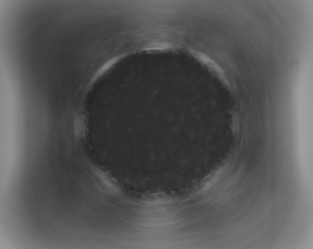 X0000114191208200910091225