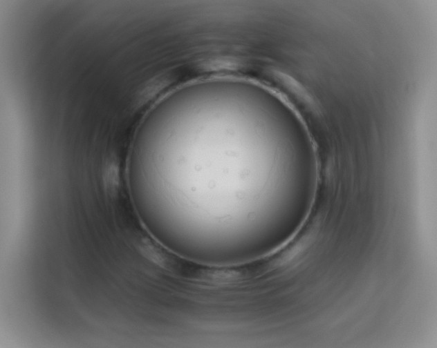 X0000114191209200910091225