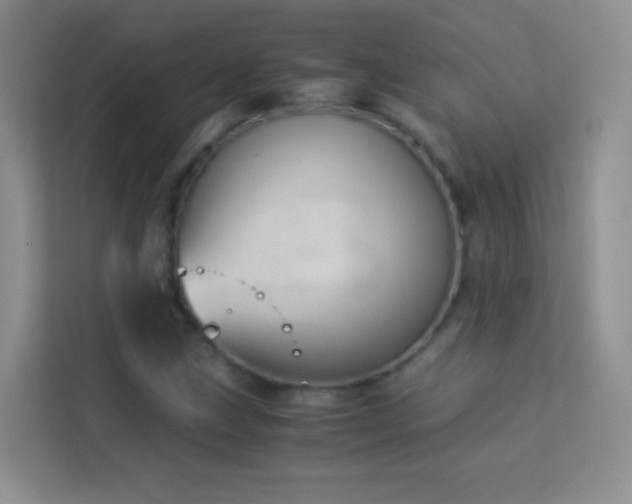 X0000114191211200910091225