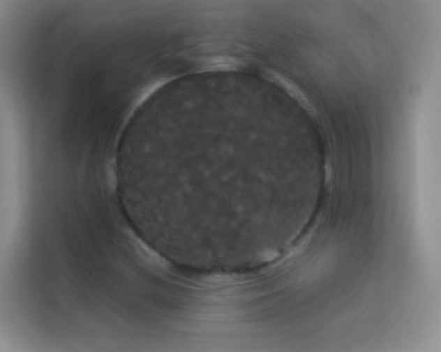 X0000114191212200910091225