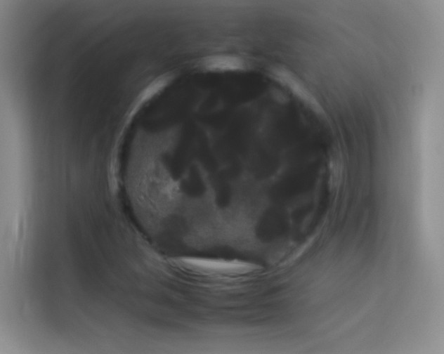 X0000114191213200910091225