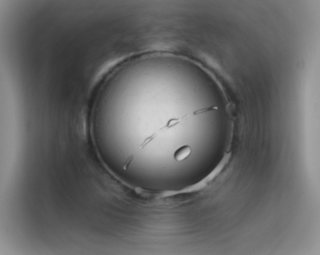 X0000114191214200910091225