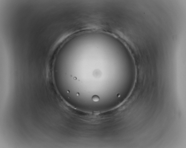 X0000114191215200910091225