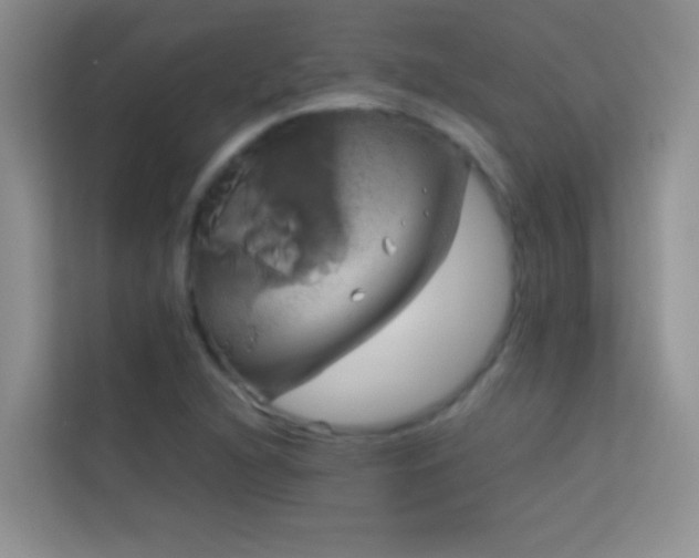 X0000114191216200910091225
