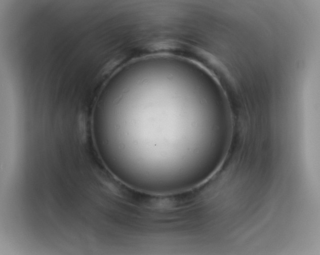X0000114191217200910091225