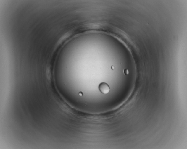 X0000114191218200910091225