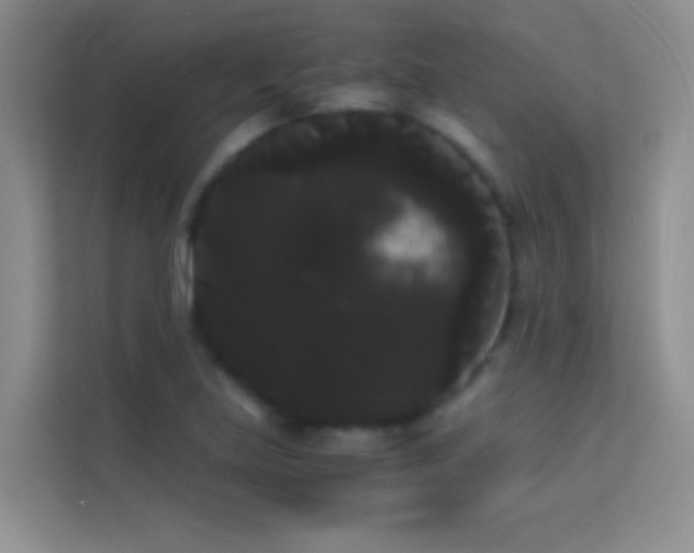 X0000114191219200910091225