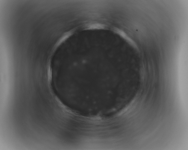 X0000114191221200910091225