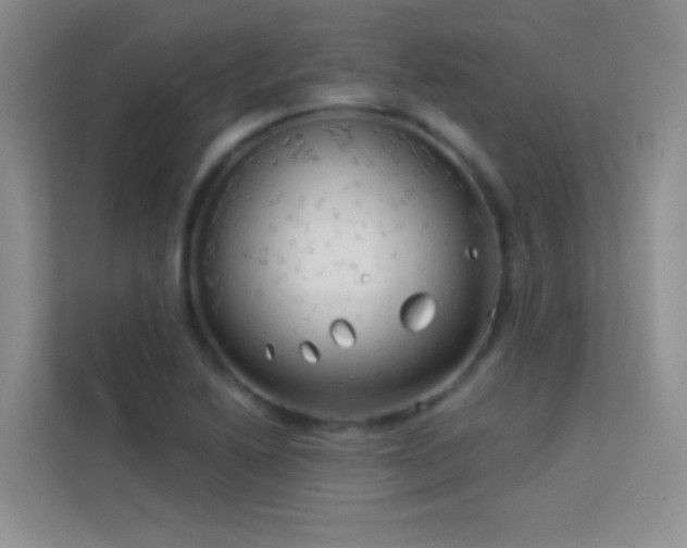 X0000114191222200910091225