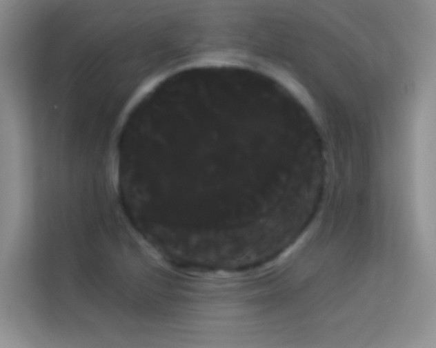 X0000114191224200910091225