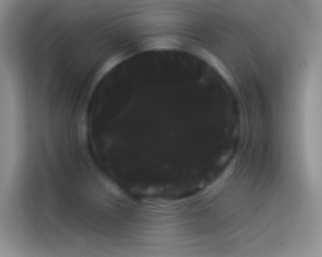 X0000114191226200910091225