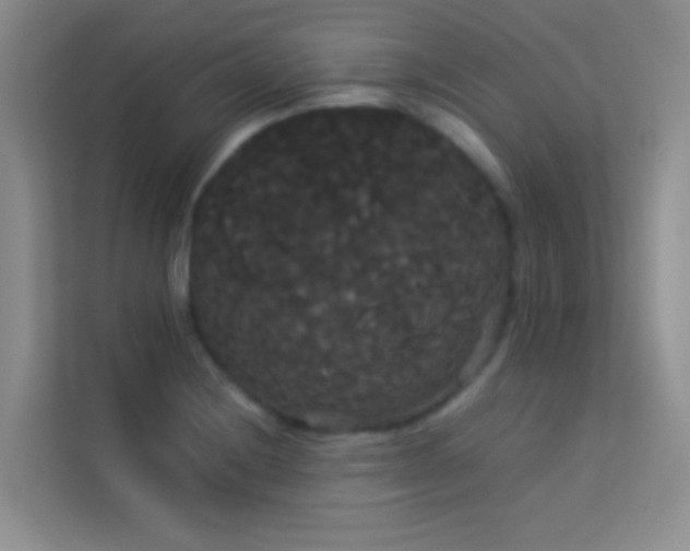 X0000114191228200910091225