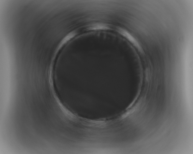 X0000114191229200910091225
