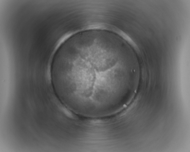 X0000114191230200910091225