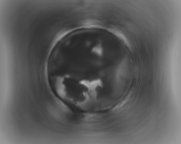 X0000114191231200910091225