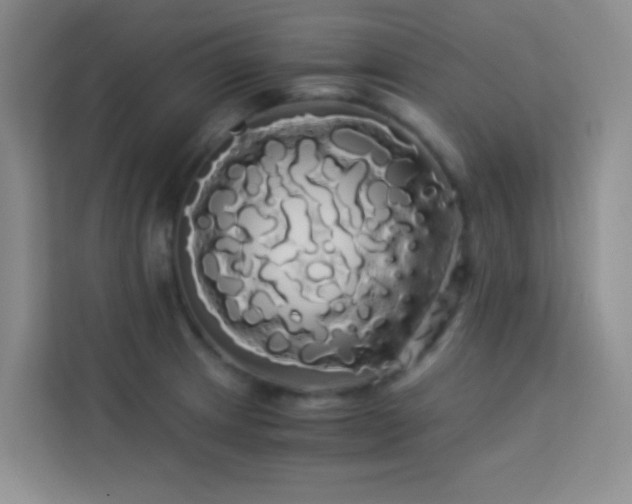 X0000114191233200910091225