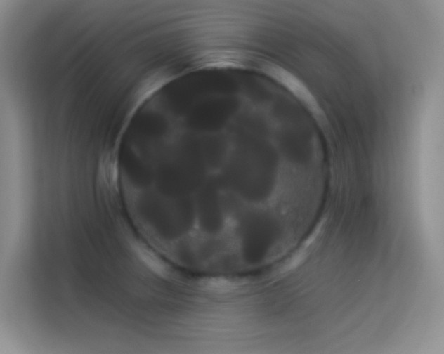 X0000114191234200910091225