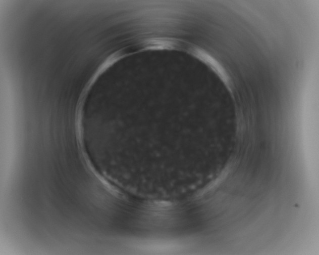 X0000114191235200910091225