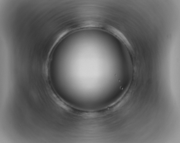 X0000114191236200910091225