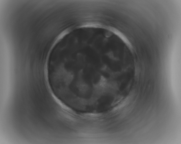 X0000114191237200910091226