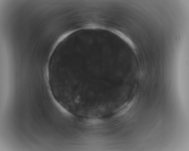 X0000114191239200910091226