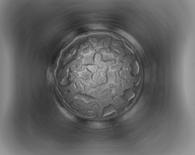 X0000114191241200910091226