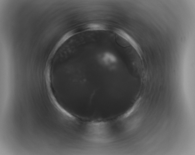 X0000114191243200910091226